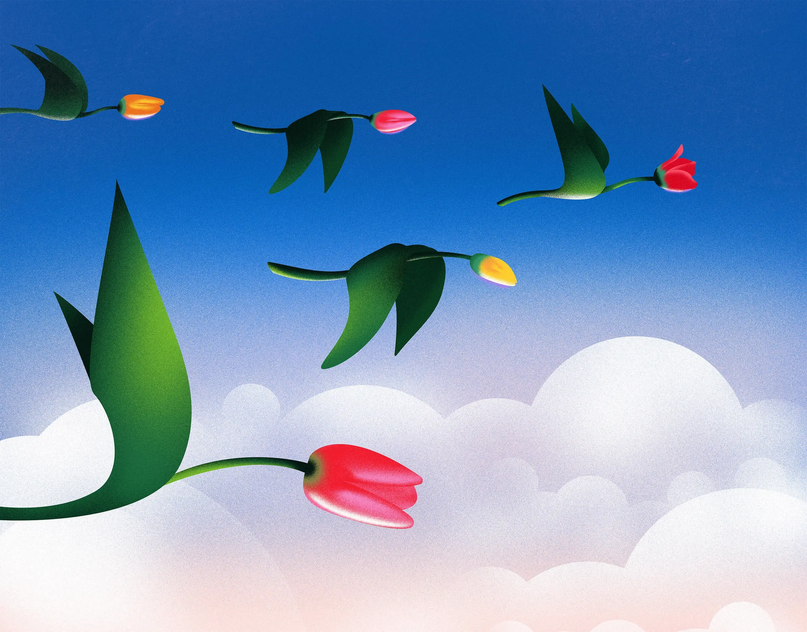 Cover artwork for The Spring is back project: tulips with dark green leaves flying like birds across a blue sky above white clouds. Title text: The Spring is back.